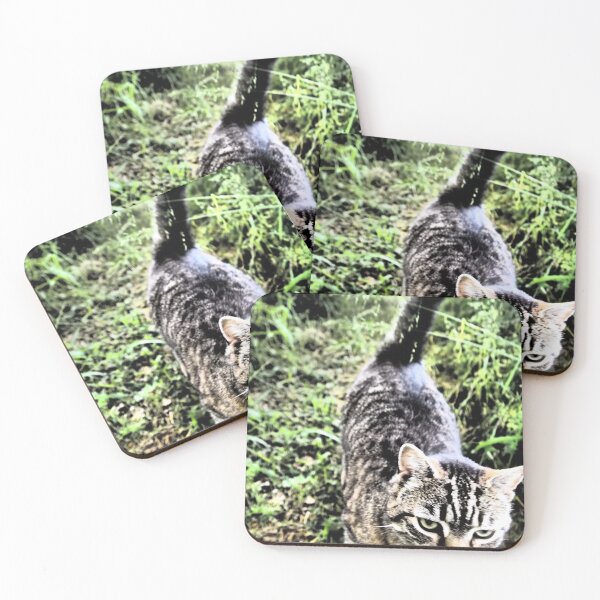 Item preview, Cat in the grass designed and sold by wtgs.
