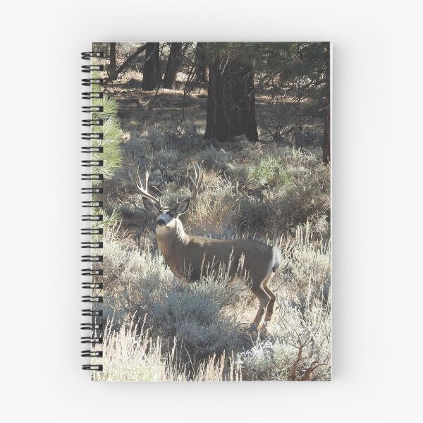 Item preview, Deer, Wildlife, Mule Deer, Buck, Nature, Gifts designed and sold by Sandra O'Toole.