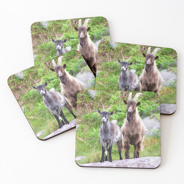 Item preview, Mountain Goats on Carrauntoohil, Co Kerry, Ireland designed and sold by Ireland Photography.