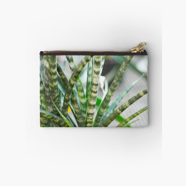 Item preview, Sansevieria Plant designed and sold by Asiantiger247.
