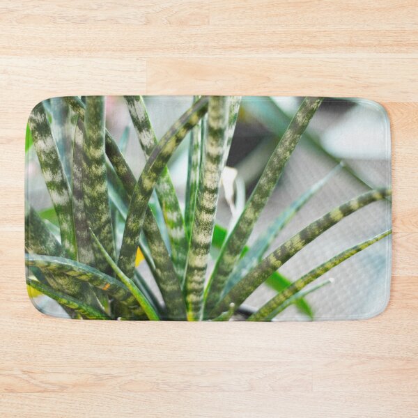 Item preview, Sansevieria Plant designed and sold by Asiantiger247.