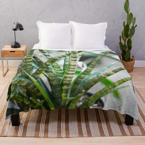 Item preview, Sansevieria Plant designed and sold by Asiantiger247.