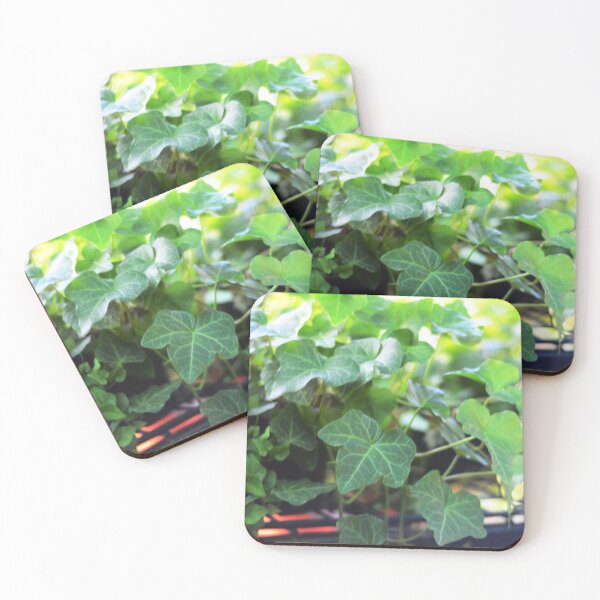 Item preview, Vining Ivy Plant designed and sold by Asiantiger247.