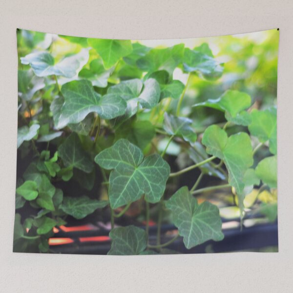 Item preview, Vining Ivy Plant designed and sold by Asiantiger247.