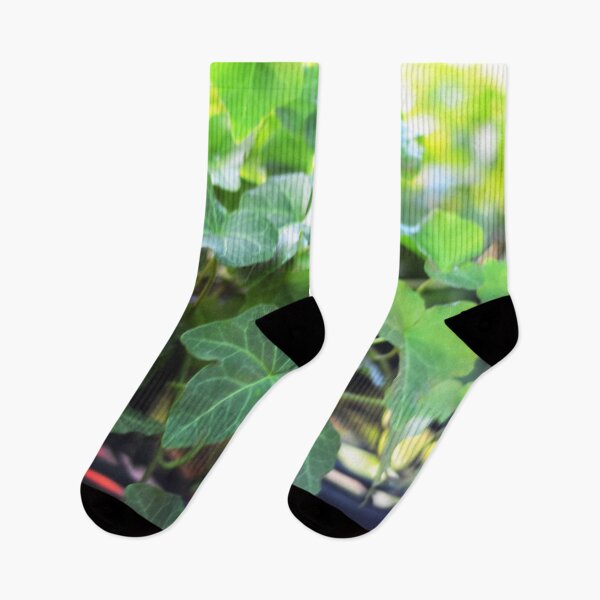 Item preview, Vining Ivy Plant designed and sold by Asiantiger247.