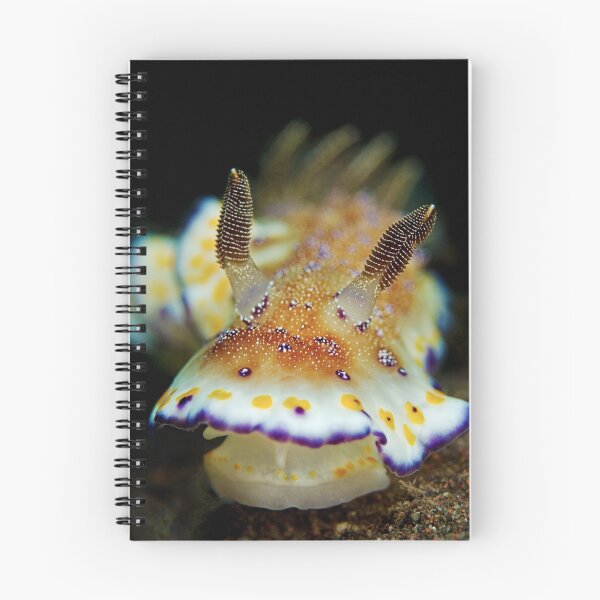 Item preview, Nudibranch - Chromodoris Collingwoodi designed and sold by Henry Jager.