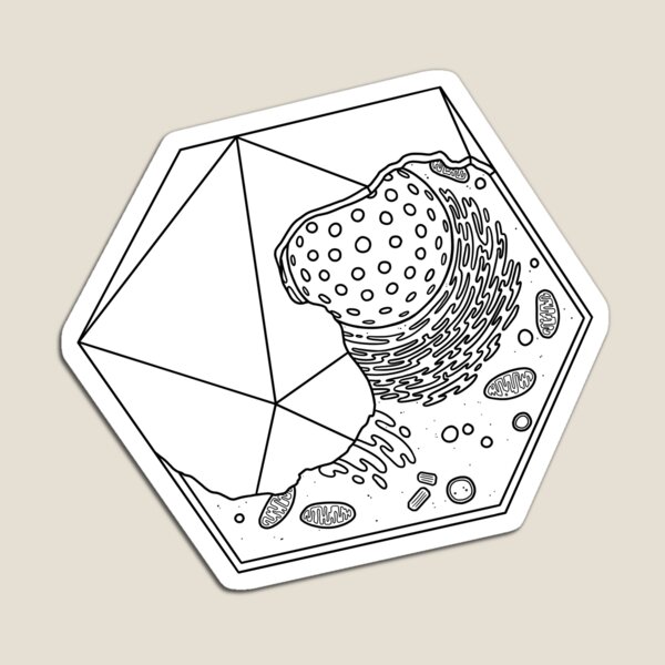 Item preview, D20 Anatomía designed and sold by Fifth-Instar.