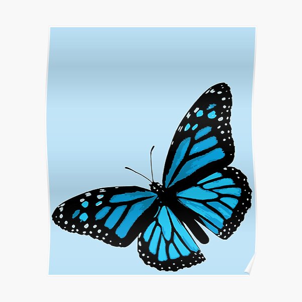 Blue Monarch Butterfly Poster