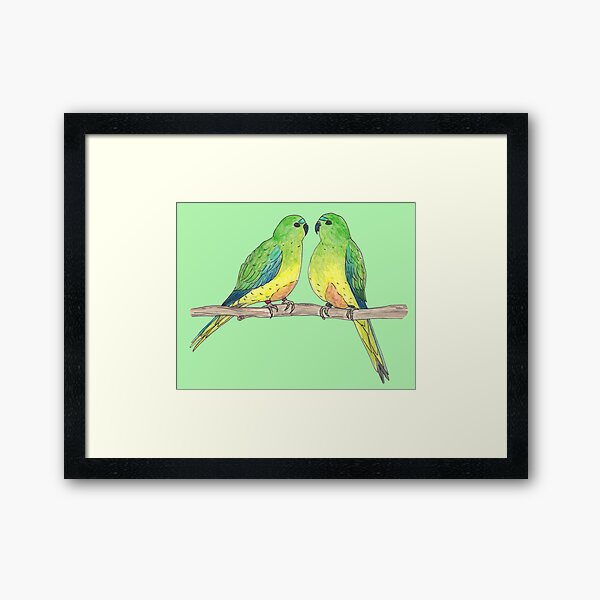 Orange Bellied Parrot Pair Framed Art Print