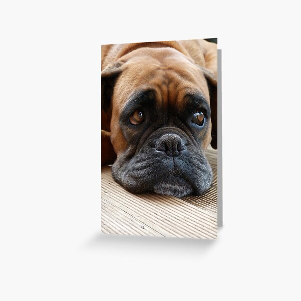 Waiting, wanting, wishing Greeting Card