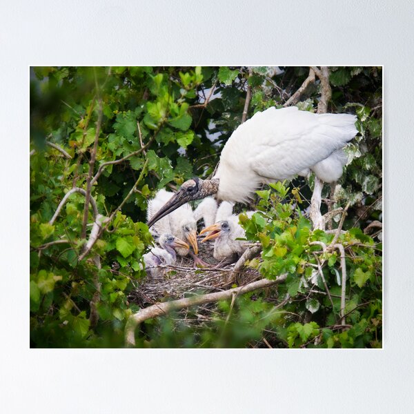 Item preview, Wood Stork Nest designed and sold by Kathy Cline.
