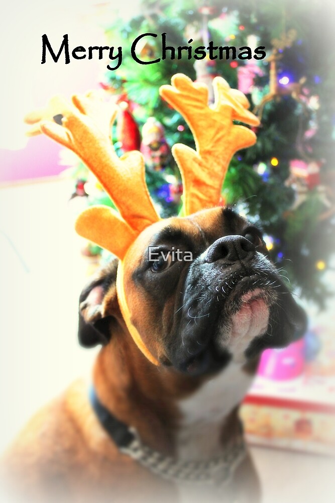 christmas boxer dog statue