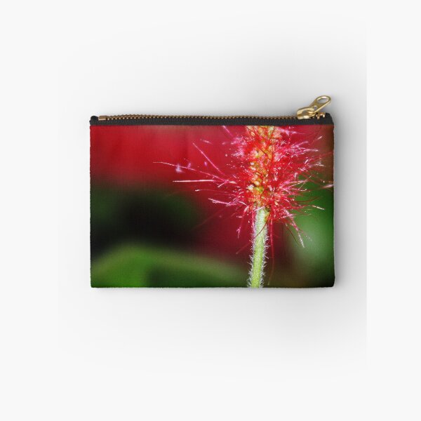 Item preview, New Born designed and sold by Katagram.