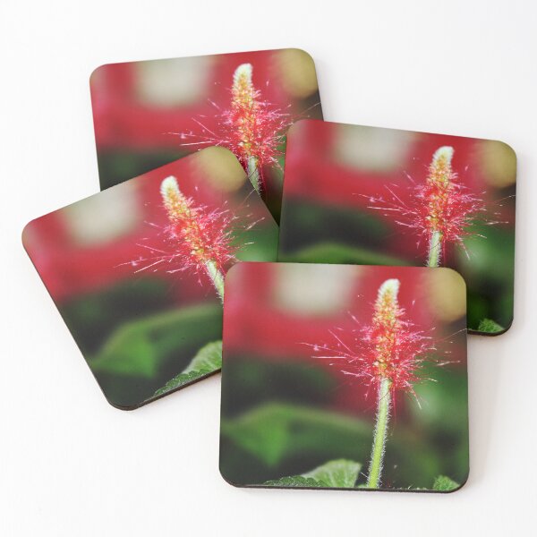 Item preview, New Born designed and sold by Katagram.