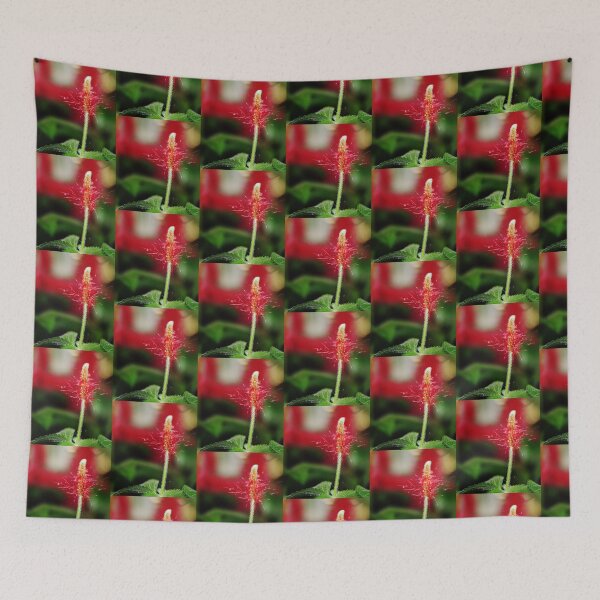 Item preview, New Born designed and sold by Katagram.