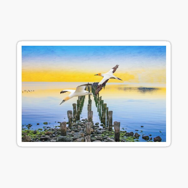 Item preview, Northern Gannets Gliding designed and sold by FineArtography.