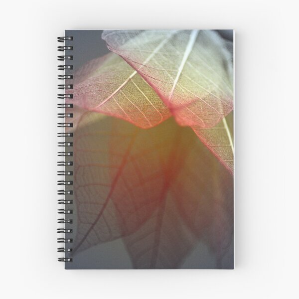 Item preview, Something Different designed and sold by Katagram.