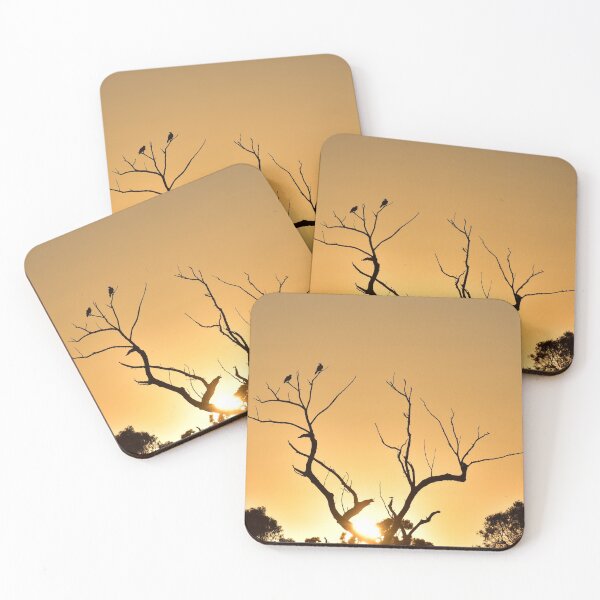 Item preview, Eagles Silhouette at Sunrise designed and sold by Rainbow Farm Photography.