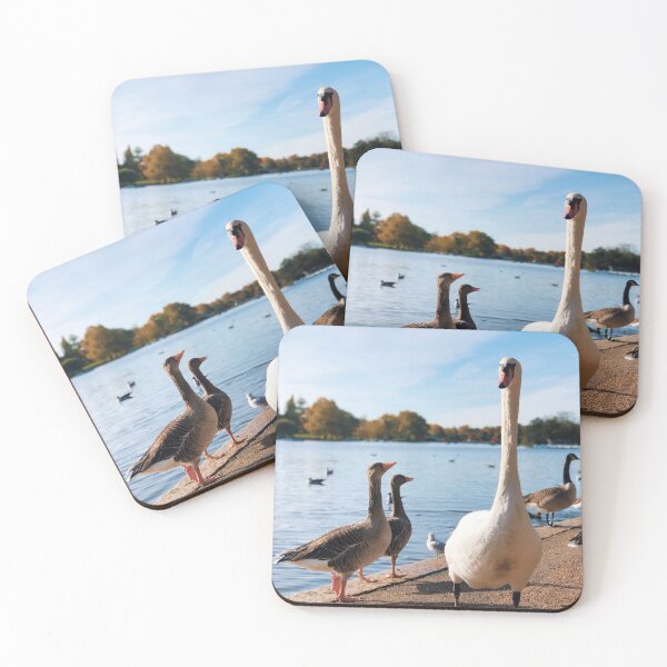 Item preview, Birds in the park  designed and sold by mackspage.