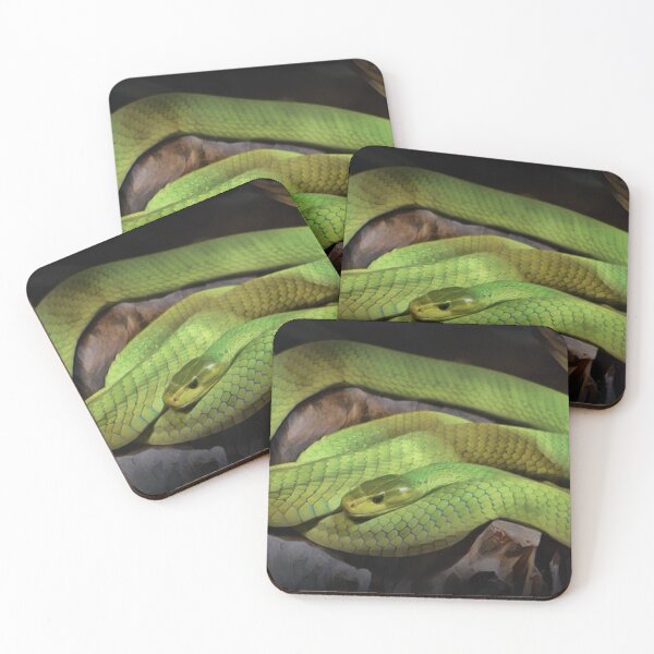 Item preview, Green Mamba Snake designed and sold by Heathermarie321.