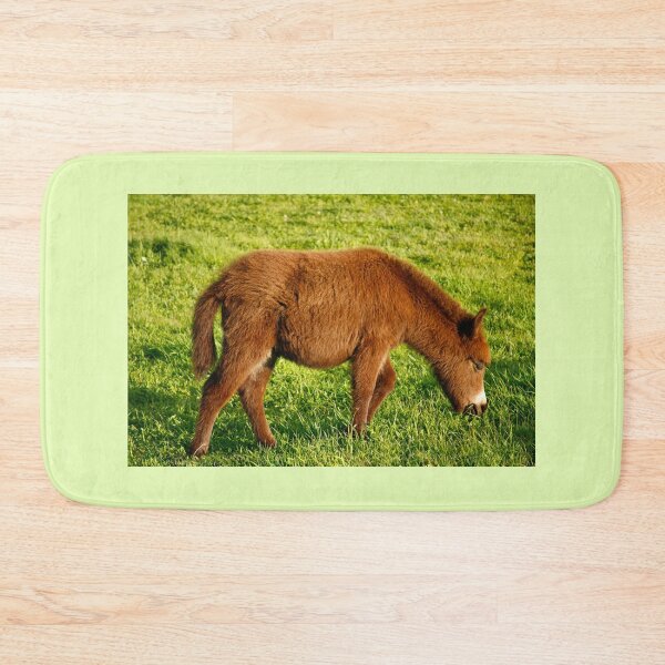 Item preview, Baby donkey grazing designed and sold by Gaspar Avila.