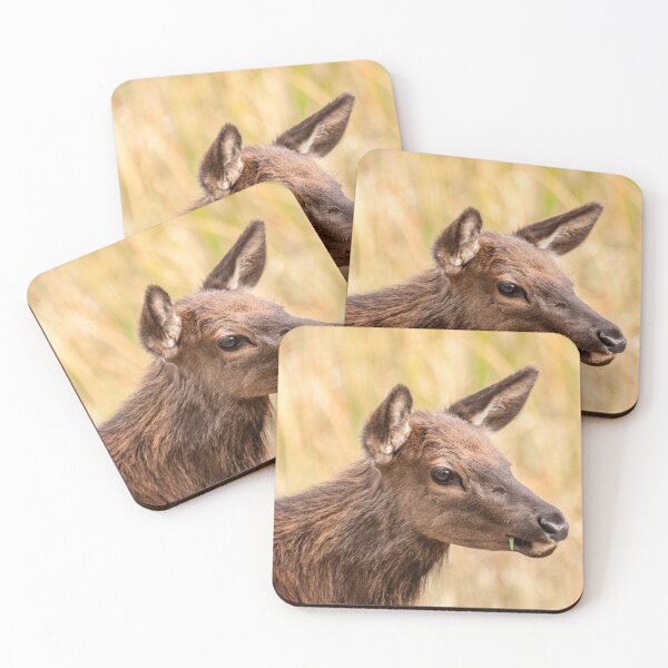 Item preview, Young Elk Caught With a Blade of Grass designed and sold by Sue Smith.