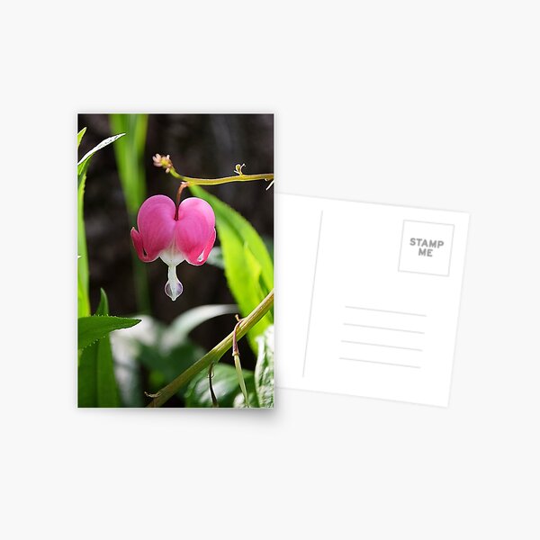 Item preview, Bleeding Heart designed and sold by NicoleFrederick.