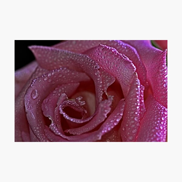 "Compassion..." Photographic Print
