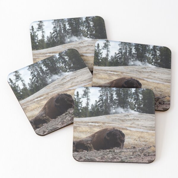 Item preview, Buffalo before geyser designed and sold by Allen Penton.