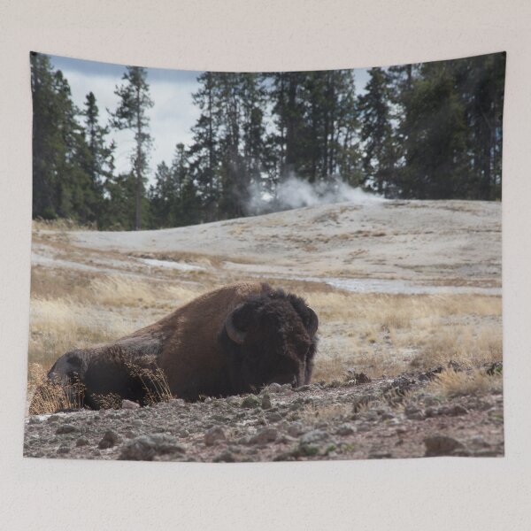 Item preview, Buffalo before geyser designed and sold by Allen Penton.