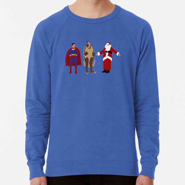 Holiday Armadillo Sweatshirts Hoodies Redbubble