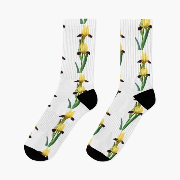 Item preview, Bearded iris designed and sold by Chris Burrows.