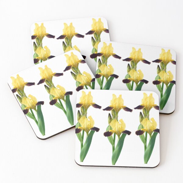 Item preview, Bearded iris designed and sold by Chris Burrows.