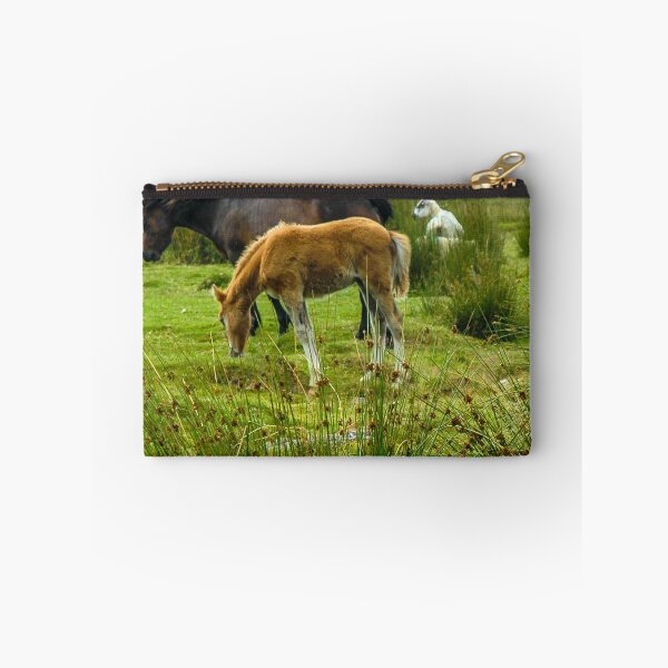 Item preview, Dartmoor Ponies designed and sold by Alius Imago.