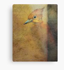 Ambivalent Metal Print