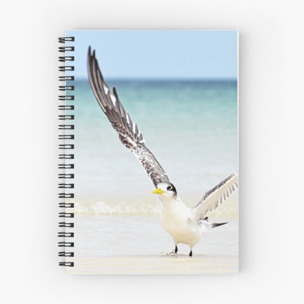 Item preview, The Wings designed and sold by Oceansoul  Photografix - Susie Thomspon.