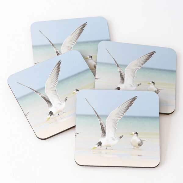 Item preview, Tern Takeoff designed and sold by Oceansoul  Photografix - Susie Thomspon.