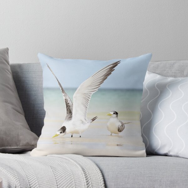 Item preview, Tern Takeoff designed and sold by Oceansoul  Photografix - Susie Thomspon.