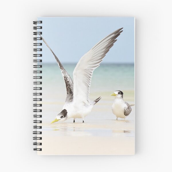 Item preview, Tern Takeoff designed and sold by Oceansoul  Photografix - Susie Thomspon.
