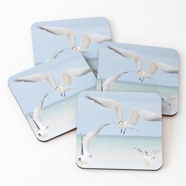 Item preview, Three Terns designed and sold by Oceansoul  Photografix - Susie Thomspon.