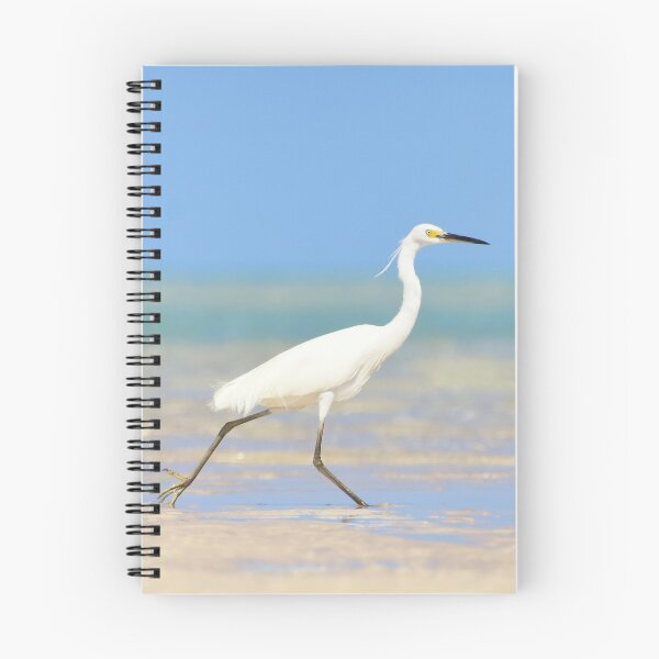 Item preview, Little Egret designed and sold by Oceansoul  Photografix - Susie Thomspon.