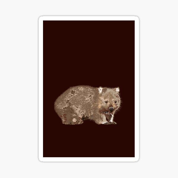 Wombat (Vombatus ursinus) on chocolate Sticker