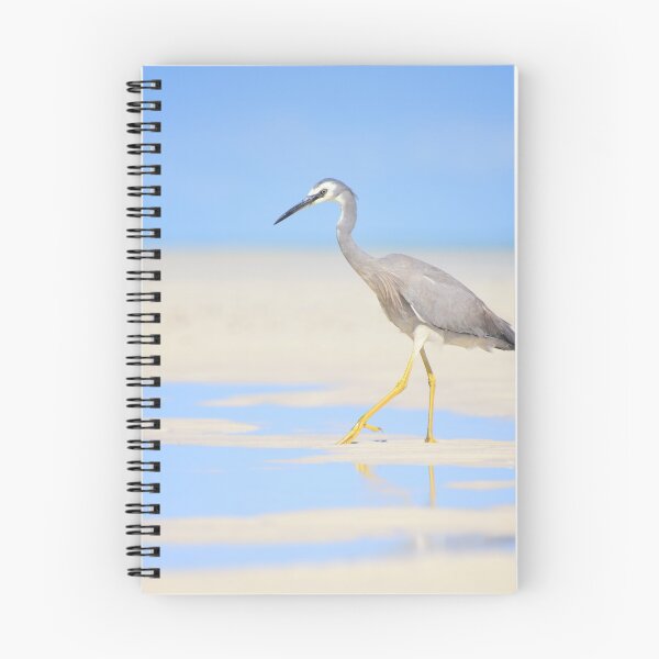 Item preview, White Faced Heron designed and sold by Oceansoul  Photografix - Susie Thomspon.