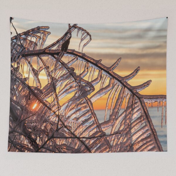 Item preview, The Most Fantabulous Sun Shutters designed and sold by Georgia Mizuleva.