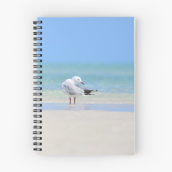 Item preview, Seagull in Paradise designed and sold by Oceansoul  Photografix - Susie Thomspon.