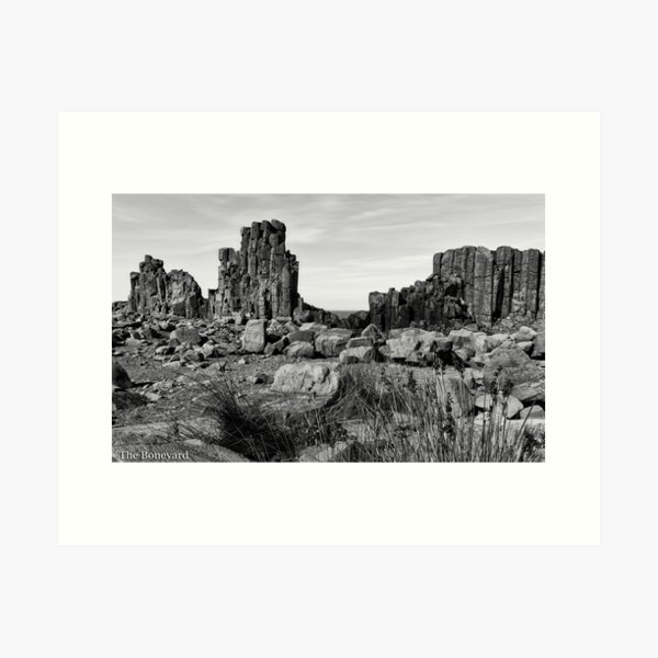 Item preview, The Boneyard  Bombo B & W designed and sold by Rainphotography.