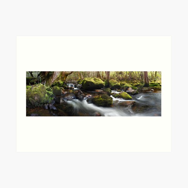 Art Print