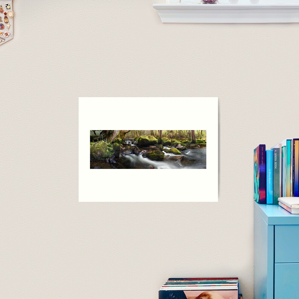 Pine Valley Stream, Lake St Clair National Park, Tasmania Art Print