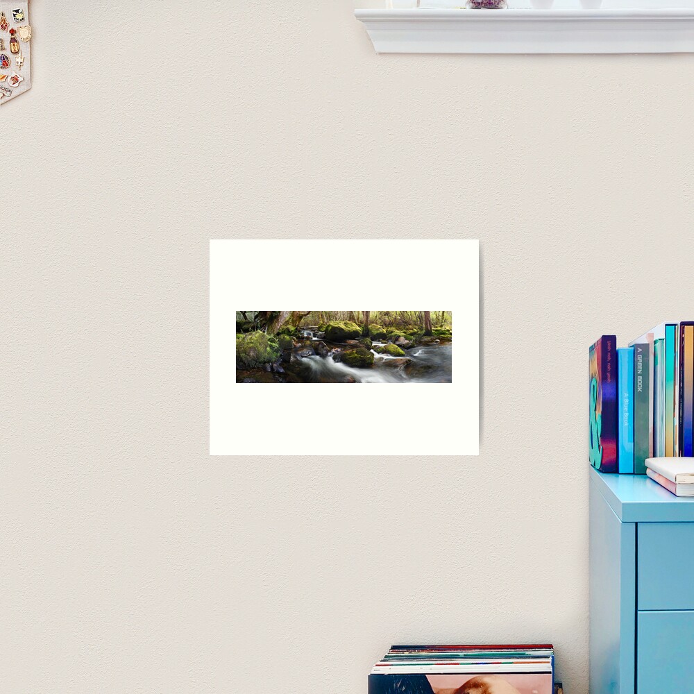 Pine Valley Stream, Lake St Clair National Park, Tasmania Art Print