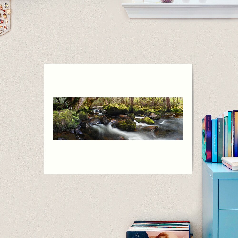 Pine Valley Stream, Lake St Clair National Park, Tasmania Art Print